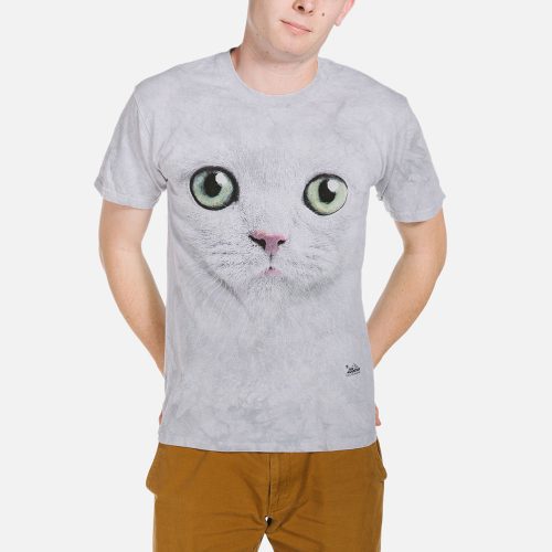 cat in a shirt