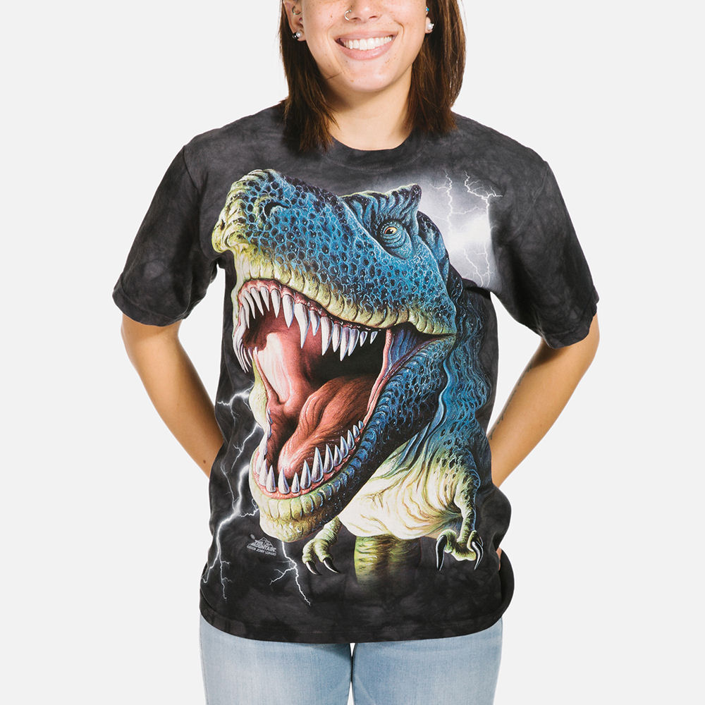 dinosaur shirt