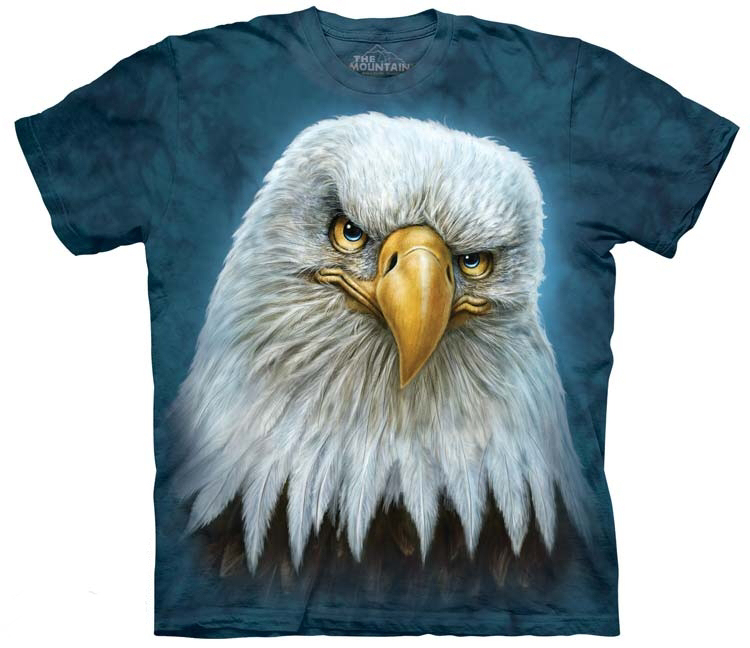 How to Tell Male and Female Bald Eagles Apart