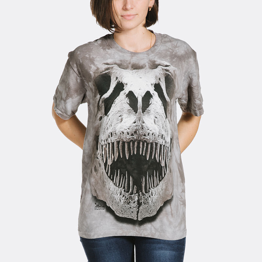 dinosaur shirt