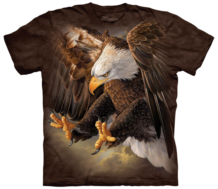 What is the Scientific Name of the Bald Eagle?