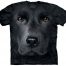 black lab shirt
