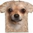 chihuahua shirt
