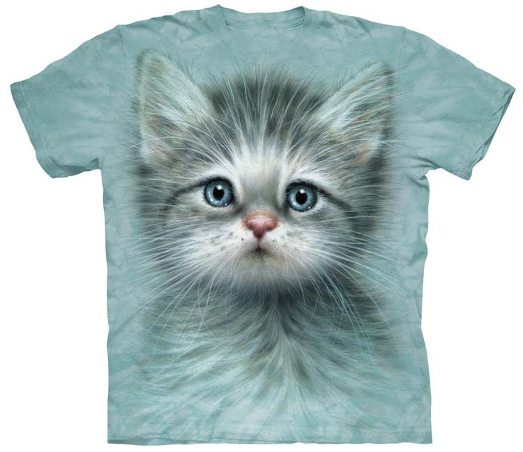 kitten shirt