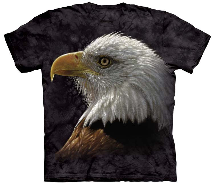 What is the Scientific Name of the Bald Eagle?