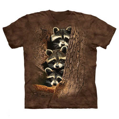 three raccoon shirt