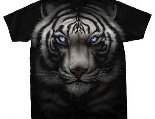 From Fear to Reverence: The Cultural Significance of Tigers in History