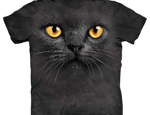 Best T-Shirts for Cat Lovers: Funny and Cute Ideas