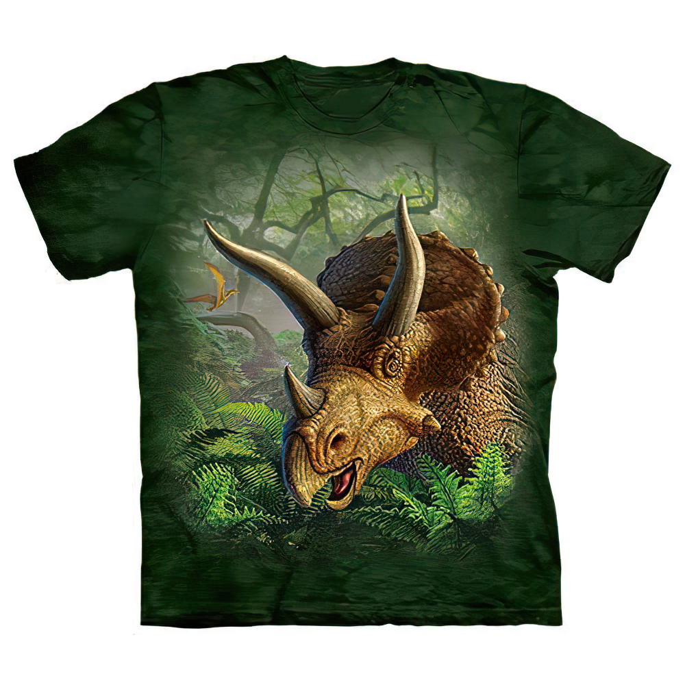 DVD TRICERATOPS SHORT FILMS トライセラトップス DVD TRICERATOPS SHORT FILMS トライセラトップス Amazon.co.jp