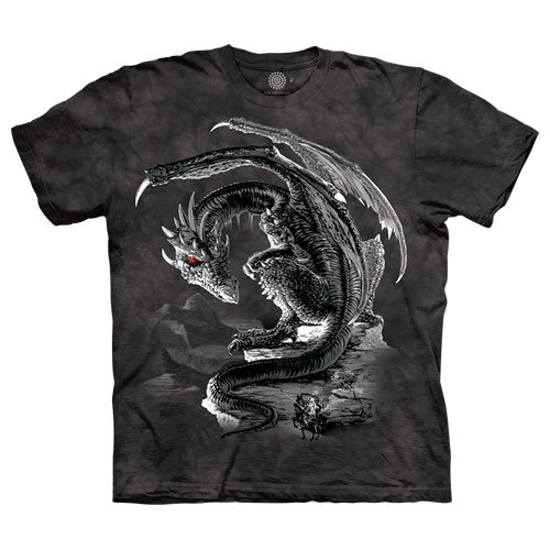 Bravery Misplaced Dragon Shirt